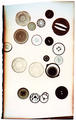 Jellyfish Buttons by Rowena Dugdale