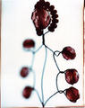 Beads by Rowena Dugdale