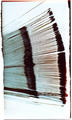 Feather by Rowena Dugdale