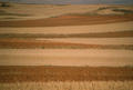 Tierra de Javier Sanz