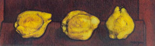 Quinces II by Josep Maria Cabayol