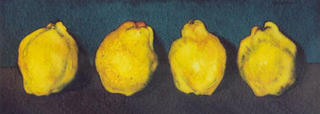 Quinces V by Josep Maria Cabayol