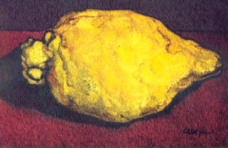 Lemon by Josep Maria Cabayol