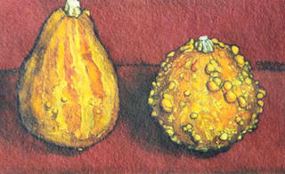 Pumpkins II by Josep Maria Cabayol