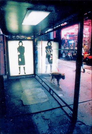 Walking the Dog by George Romanation