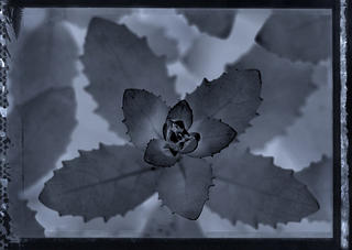 Untitled by Dwayne Brown