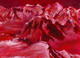 Saint Elias (from the Series Canadian Landmark Wheels) by John Abrams