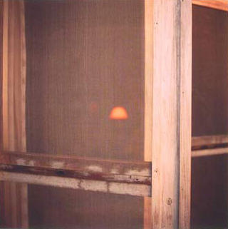 Night Light by Shelley Hill