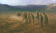 Harvesting, Early Evening, Tibet by Pip Todd Warmoth