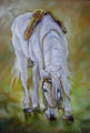 Horse by Ioan Popei
