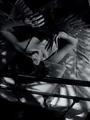 Nightmare (from the Art Noir Series) by Dellacroix & Dellfina