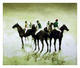 Horses by Bernard Charoy