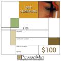 $100 Art Gift Certificate by PicassoMio.com