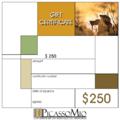 $250 Art Gift Certificate by PicassoMio.com