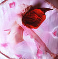 Butterfly by Micaela Petroni