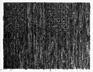 Flags II by Jasper Johns