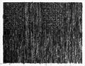 Flags II by Jasper Johns