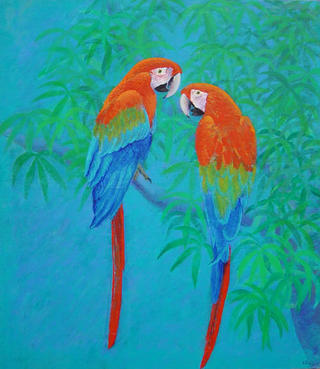 Macaws (from Cuba) by Carmen Pag&eacute;s