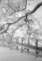 Untitled by Roger Nilsson