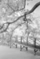 Untitled by Roger Nilsson