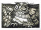 Owl by V&iacute;ctor Delf&iacute;n