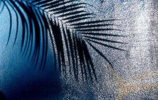 Fishtail (from the Hints of Place Portfolio) by Nelly Thomas