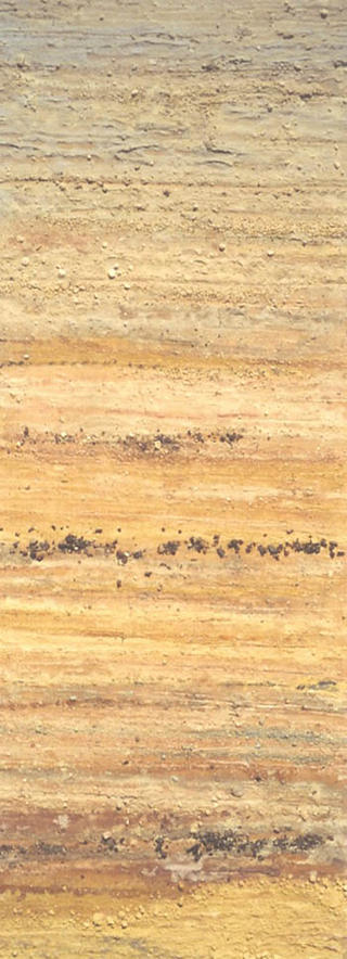 Land by G&oacute;mez de Zamora