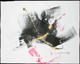 Untitled by Luz Victoria Llano