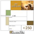 &euro;250 Art Gift Certificate by PicassoMio.com