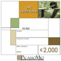 &euro;2,000 Art Gift Certificate by PicassoMio.com