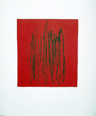 Red 29 by Ana Alberca