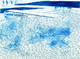 Lithograph of Water made with Lines by David Hockney