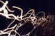 Lightworks 1 by Ben Barek