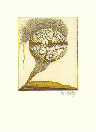 Mabrain (from the Arte Para Curarte Series) by Zush