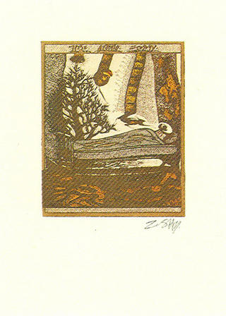 Asickart (from the Arte Para Curarte Series) by Zush