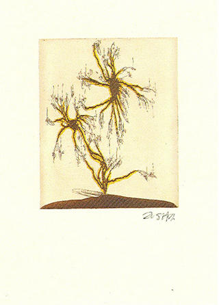 Anzuras (from the Arte Para Curarte Series) by Zush