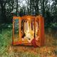 I Don&acute;t Have Anything to Wear by Rosa Mu&ntilde;oz