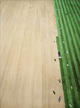 Untitled XV (2006 FIFA World Cup Germany) by Andreas Gursky
