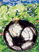 Football on the Field (2006 FIFA World Cup Germany) by Markus L&uuml;pertz