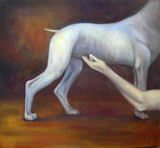 A Dog&acute;s best Friend by Enrique Poza