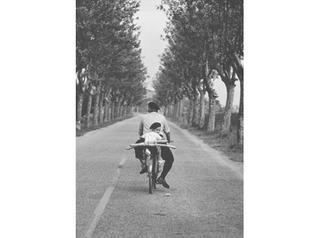 Provence, France by Elliot Erwitt