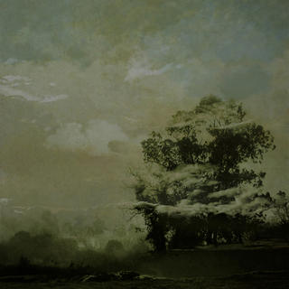 Mist by Jes&uacute;s Zat&oacute;n