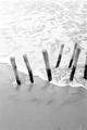 Intervened Landscape #02 by Sandra Marroig