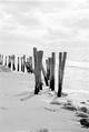 Intervened Landscape #04 by Sandra Marroig