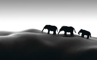 Parade by Paul Conroy