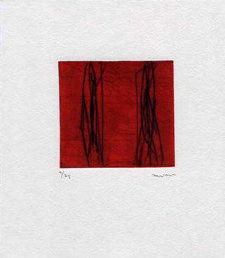 Red 47 by Ana Alberca