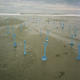 Blue Shovels by Teo Hernando