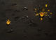 Dark Side of the Moon II by Faba