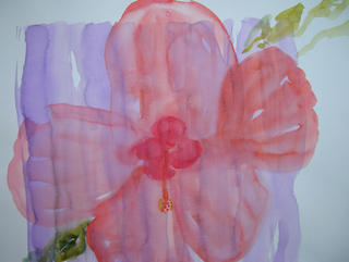 Large Hibiscus by Roberto Donderis Albert