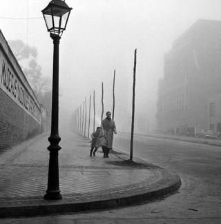 La Sombra del Viento de Francesc Catal&aacute; Roca